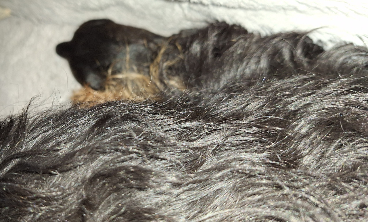 [Image: 20250419-112055.jpg]