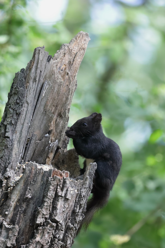 0000 0C0A0774 3000 Neatimage