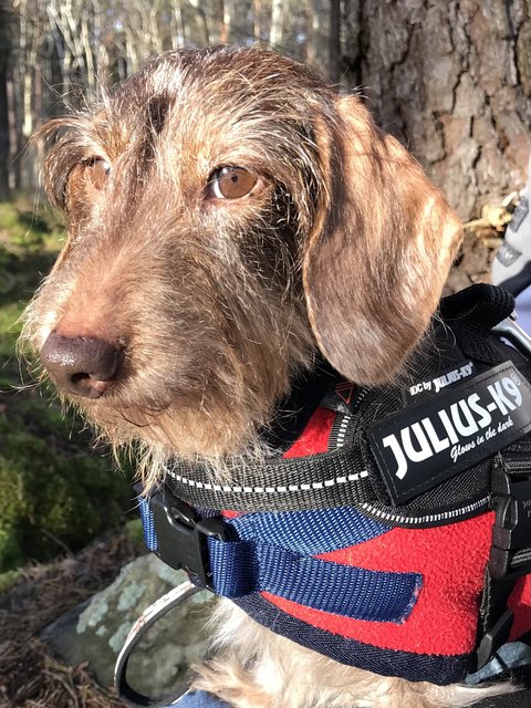 [Image: DB3-BBD6-E-FB03-4-C8-F-96-A0-ACEF42-D6-EEC7.jpg]