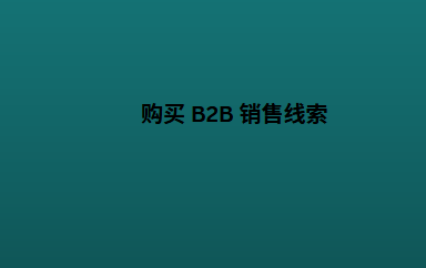 购买 B2B 销售线索