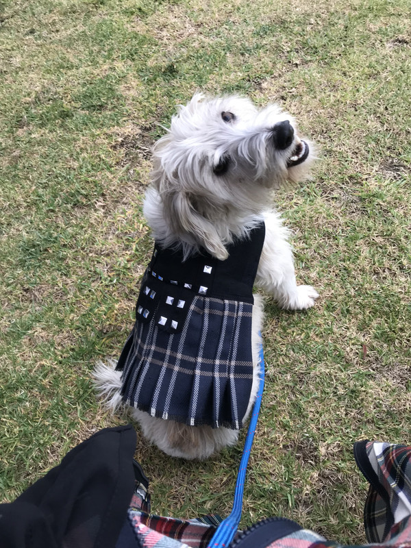 D0148AAC-B68A-4097-ACB4-516BA1878C50