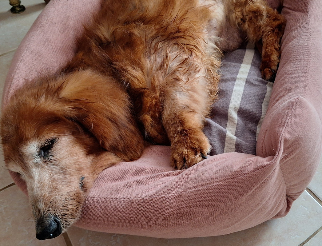 [Image: 20250610-143421.jpg]