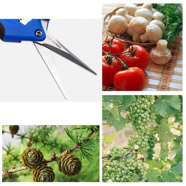 Foarfeca de Gradina - Vedere frontala