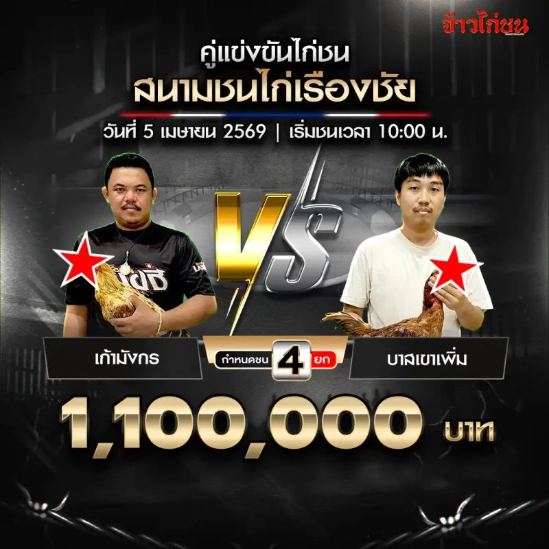 โปรแกรมไก่ชน คู่ เก้ามังกร vs บาสเขาเพิ่ม สนามชนไก่เรืองชัย