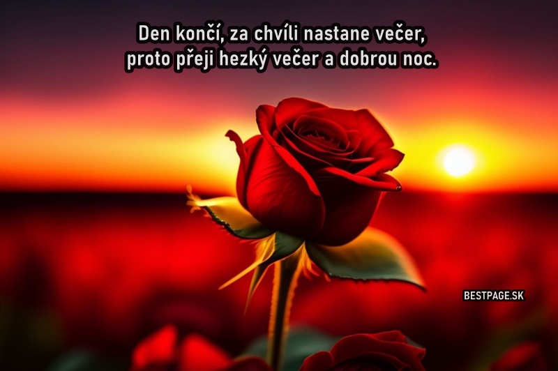 prani-vecer-13