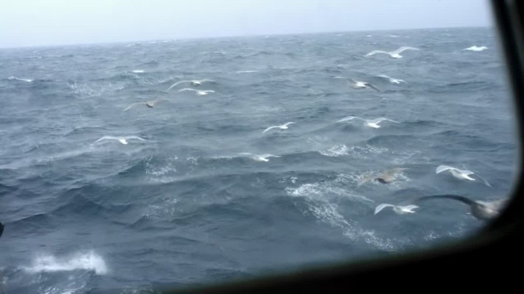 [Image: x7huo0a07epq.jpg]