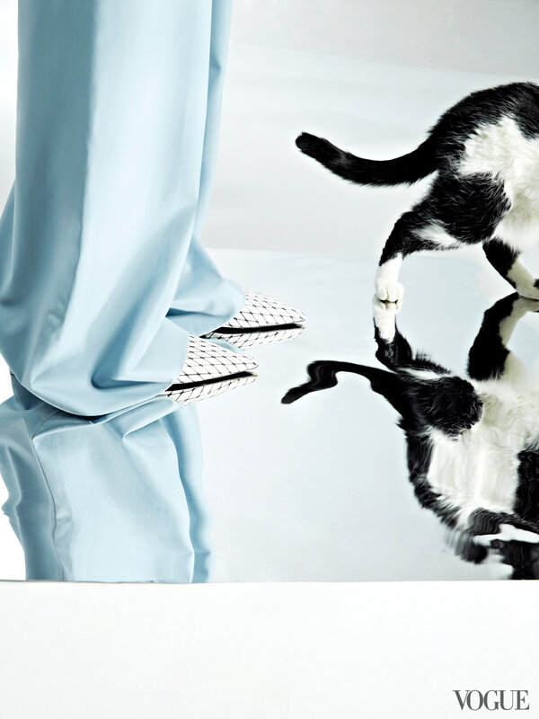 cats-kittens-flats-shoes-30-161912430966