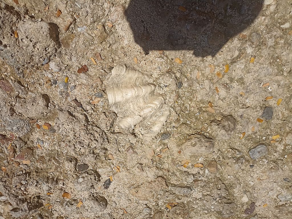 https://i.postimg.cc/ryW89qnb/IMG-20240504-125415.jpg