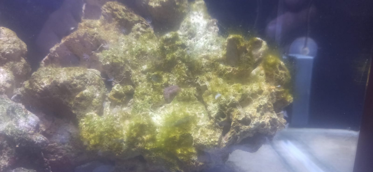 2cac8e79-becb-44e6-bc2c-746713bdfbd1