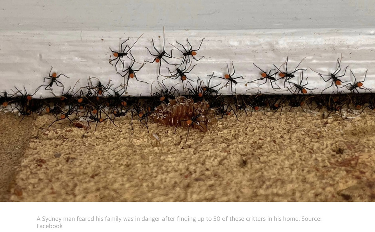 CFDFDE97-90F7-4E30-A6F4-8C2DC0117E98