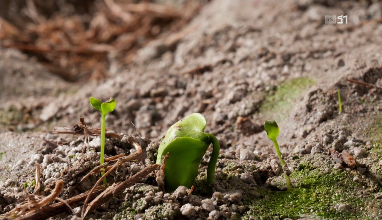 vlcsnap-2017-02-13-17h55m01s017