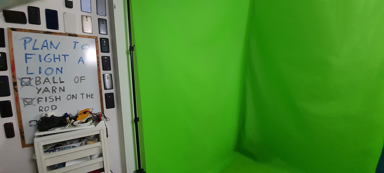 linus-2.jpg