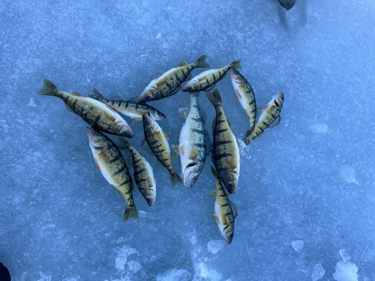 crystal lake winter 2026 028