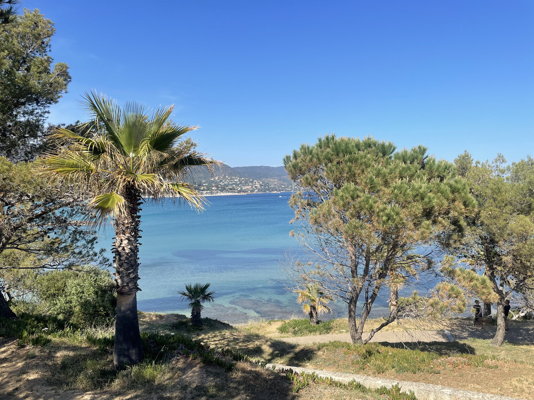 4F5D57D3-7B8E-4900-9506-2EFF1373AAB5