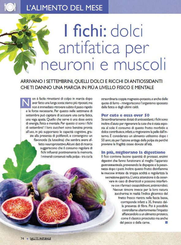 Sal Nat Set 2021 (11)