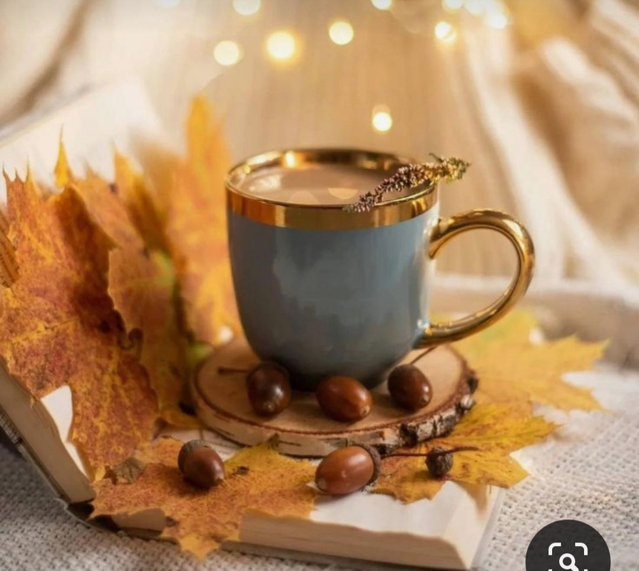 Screenshot_20231031_173737_Pinterest