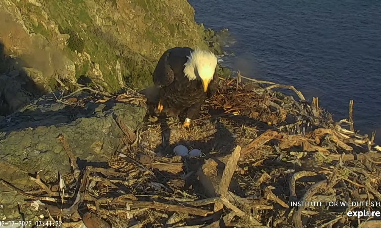 B986C150-535F-4975-879C-C5EA00EE09CF