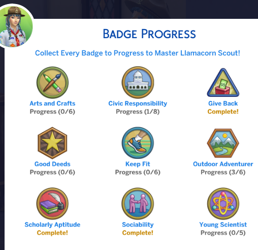 badge-board-badges-recd-1st-sat.png