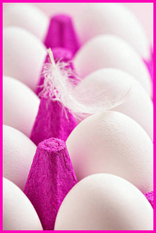 605BB263-660C-43EB-95E1-B55D1C318F58