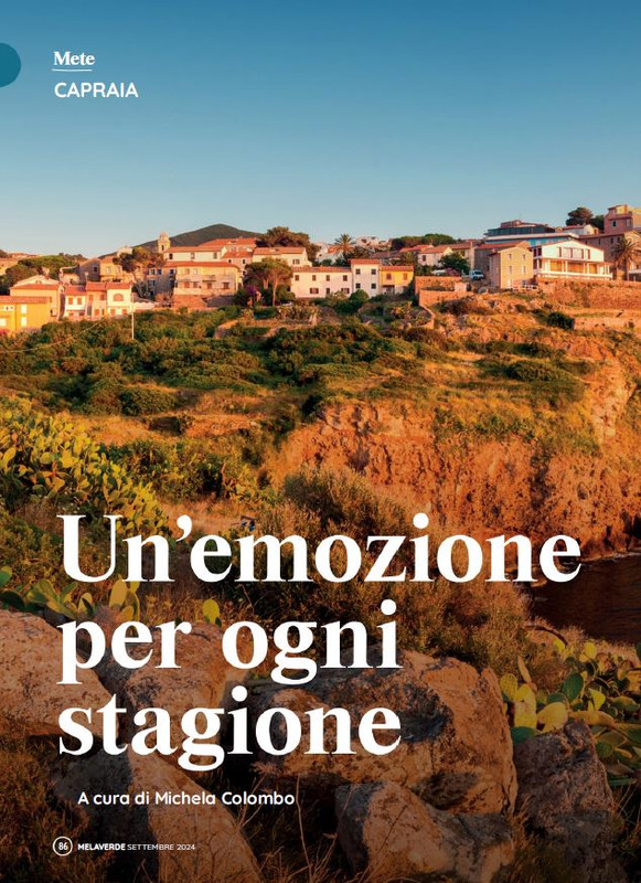 melaverde Set 2024 (9)