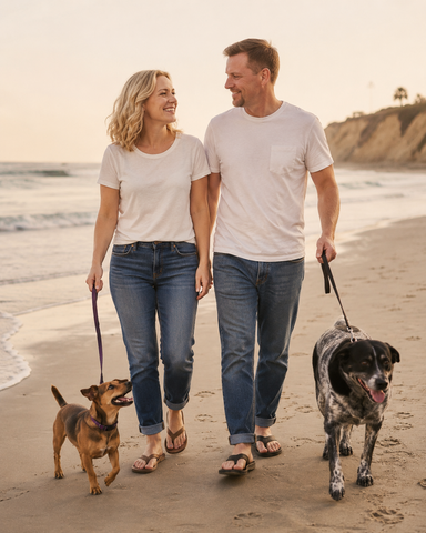 Beach-with-dogs
