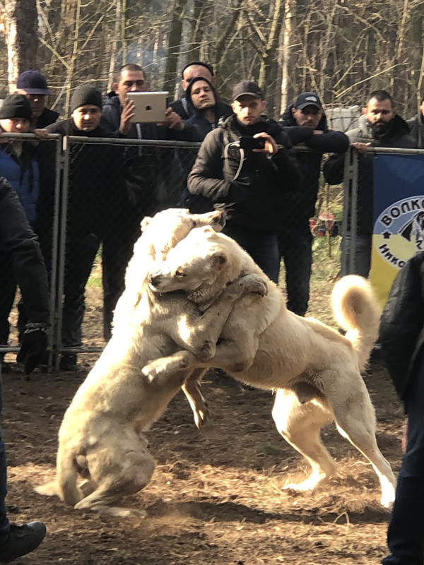 64141773-9E76-4ECA-9AE2-3DC54280C08A