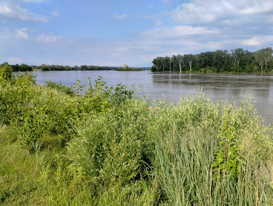 IMG_20240628_180225918_HDR