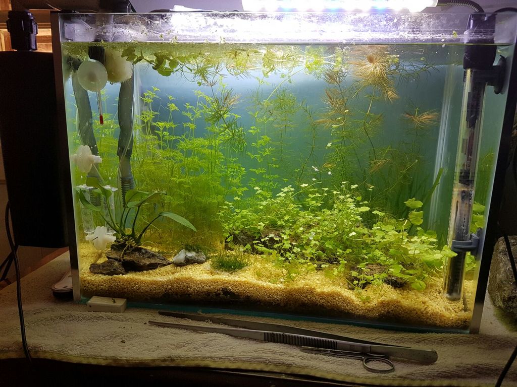 WhatsApp Image 2016-09-28 at 16.06.35 (1)