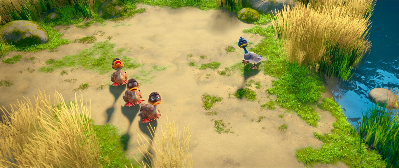 A spasso col panda (2019) [BluRay Rip 1080p ITA-ENG DTS-AC3 SUBS