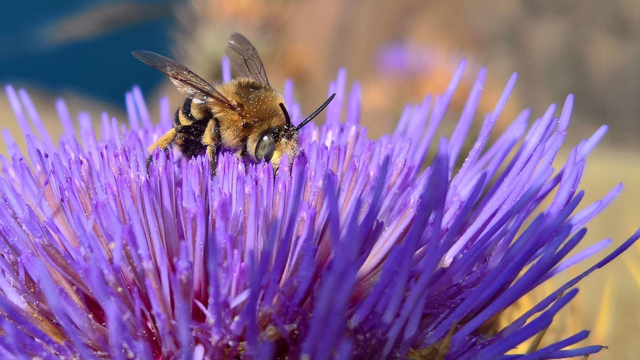 WP_20180702_11_23_46_Pro (2)