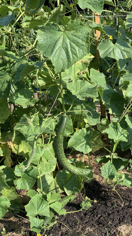 4B6DD396-DBEA-4CA8-9021-E0596ED1D732