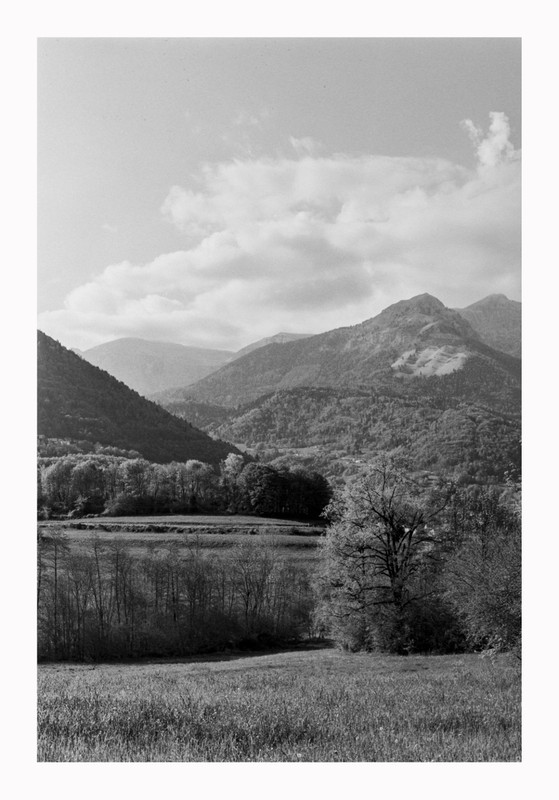 Nikon F_55mm 1.2_28apr2022_09bordo (895x1280)