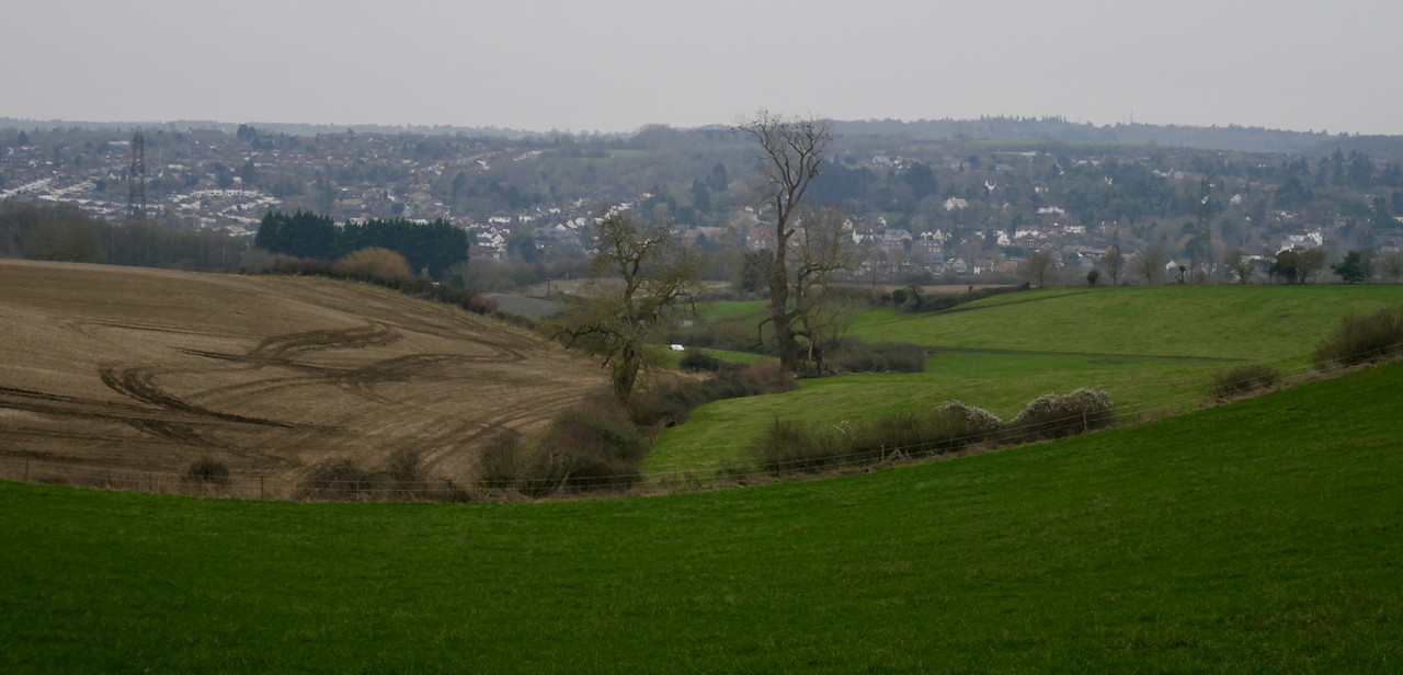 87EDA23D-2767-42C9-9B17-25DFED4339E8