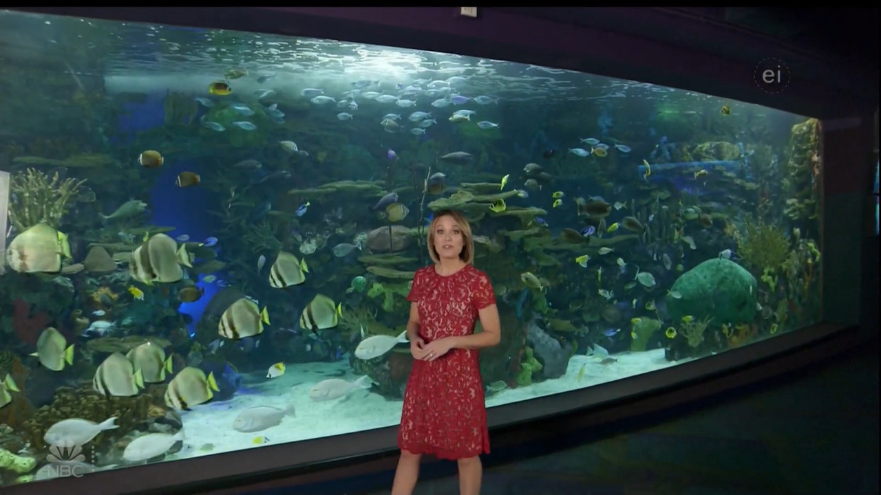 11.07 - 15.00.00 - Earth Odyssey With Dylan Dreyer. The world's smart....ts_snapshot_01.05.09.839