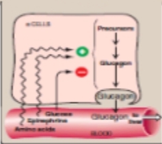 ٢٠٢٥١٠١١_٠٢٥٥٢٧