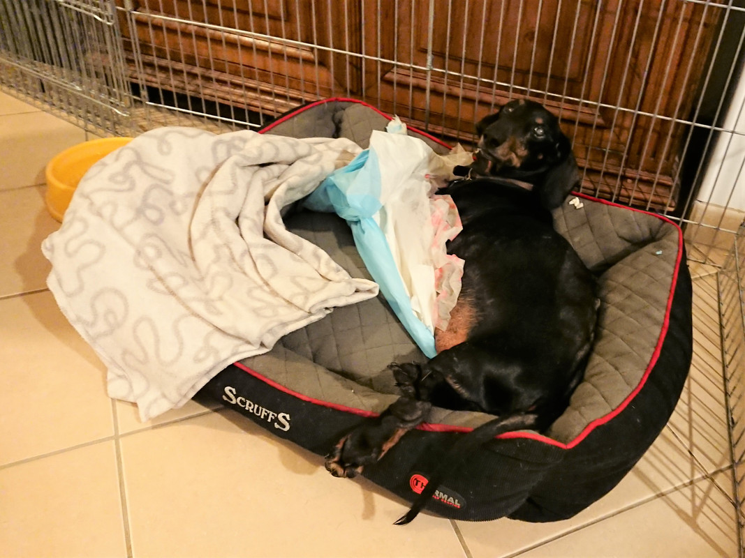 [Image: DSC-1337.jpg]