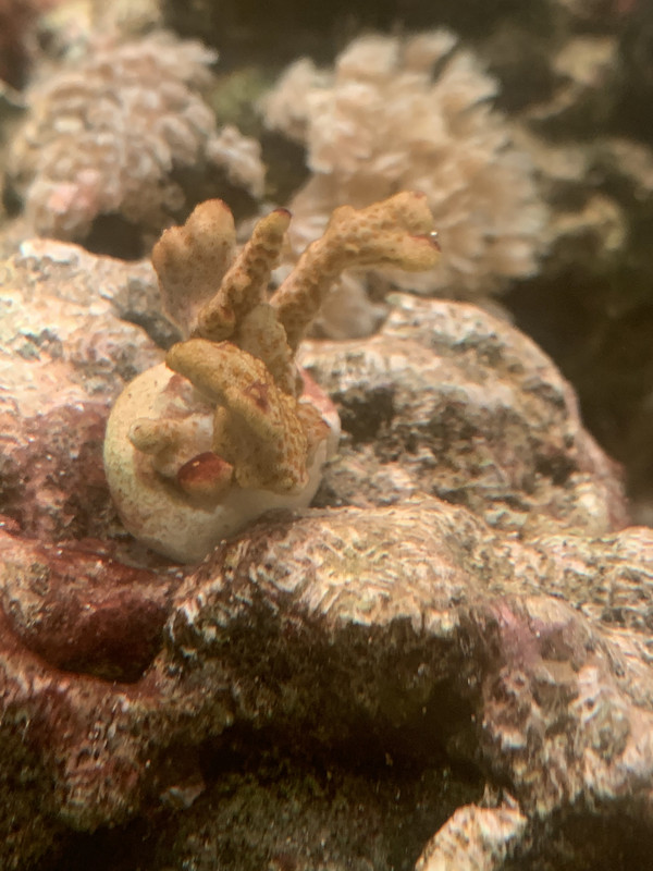 E65C4D39-3049-4381-90BA-957F826233AD