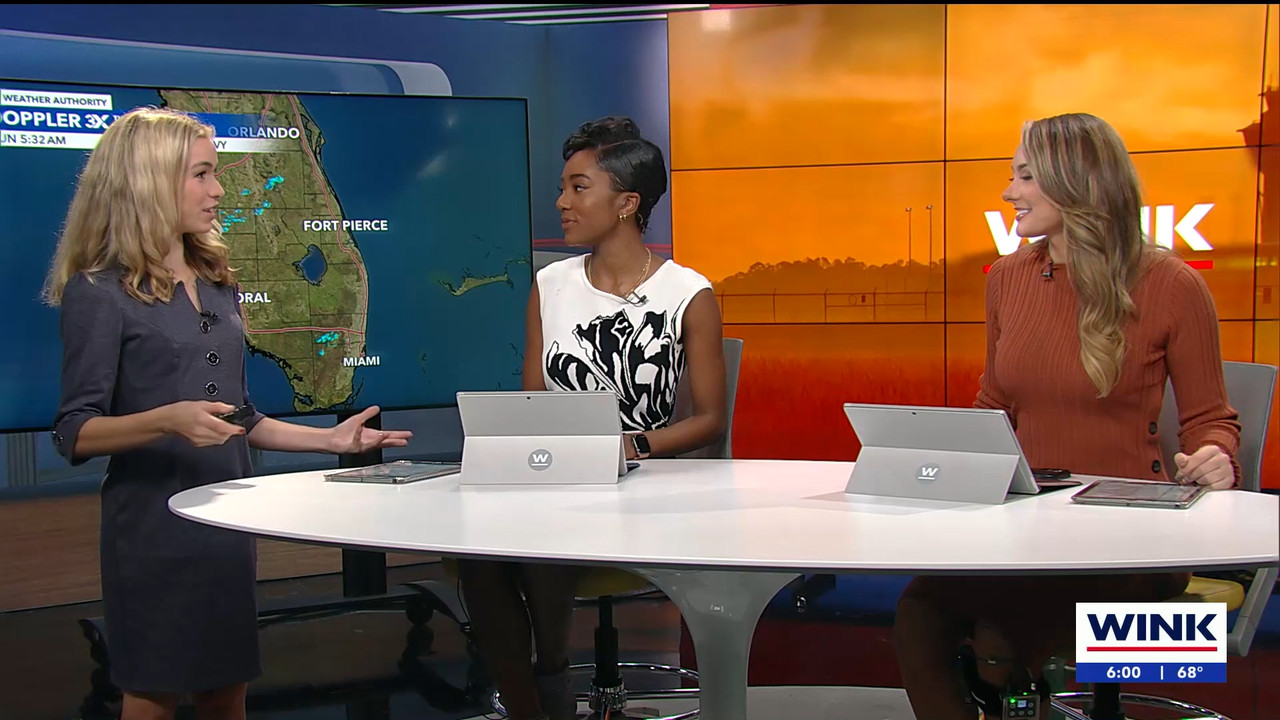 01.07 - 11.00.01 - WINK News @ 6 00AM Sunday. Local news, sports and ....ts_snapshot_00.06.30.467