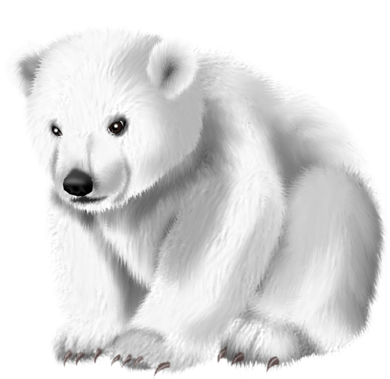 MagicSnowkitpudnpolarbear2