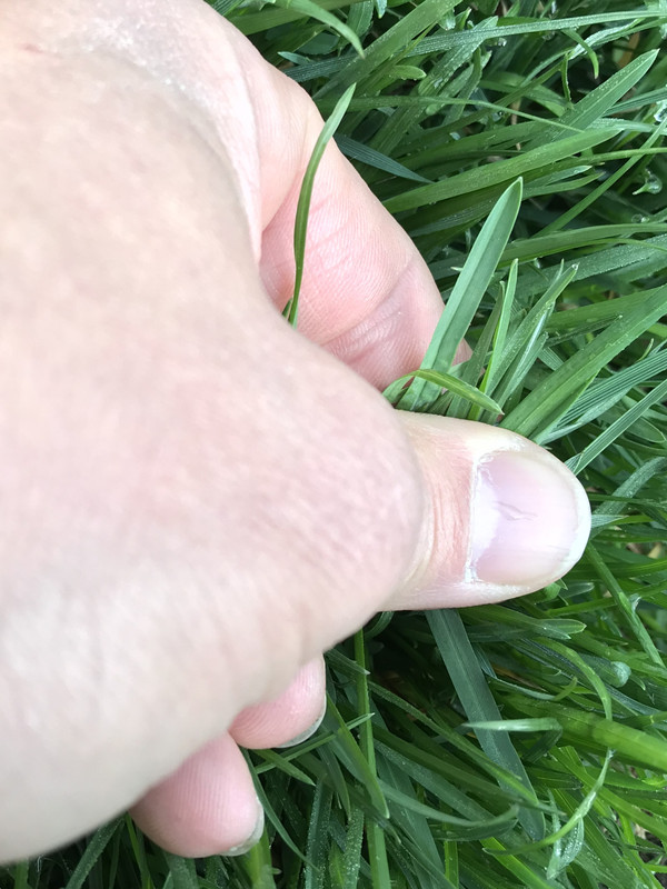 49F7C0E5-C7EE-481B-B7E1-A008F9B5D626