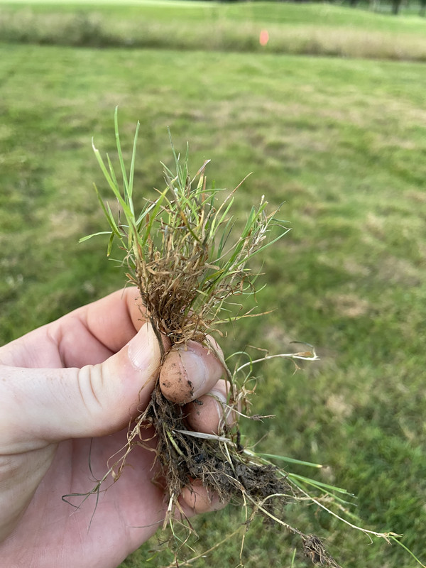 94F97A54-229D-46FA-A10D-1576EF922C85