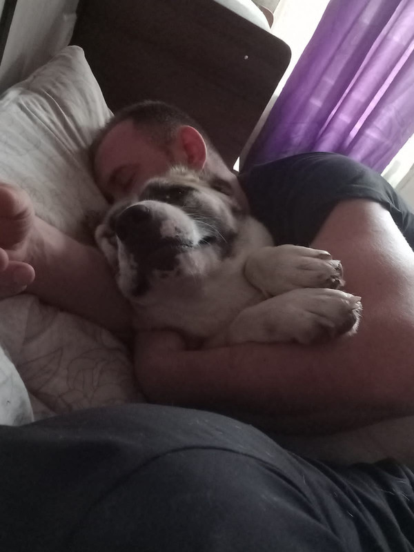 74F89DF3-D569-49AF-8C92-F295D3FBBB5B