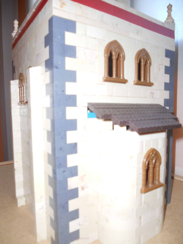 DSCN0603