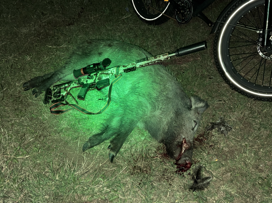 Screen Shot 2025-04-11 at 3.56.41 PM