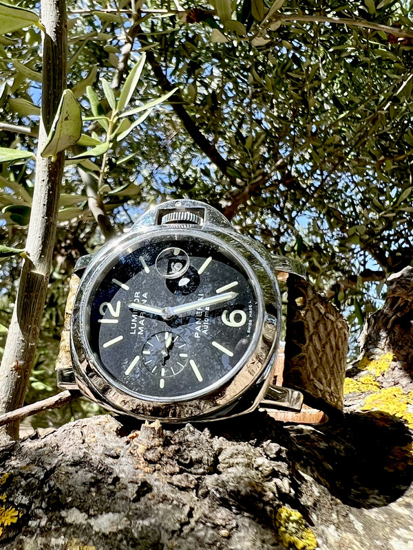 E7FD900B-2A0C-4C62-A6C1-00A72D180195