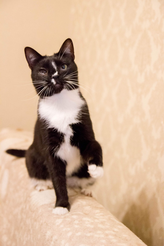 черная с белым-1-20