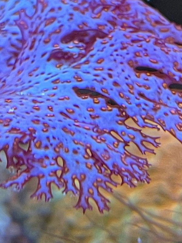 477EF099-9D1A-436D-AE09-9BF9181463E2