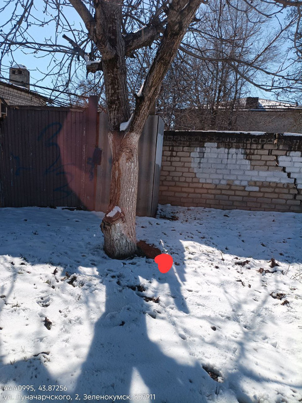 photo 2026 03 01 17 28 41