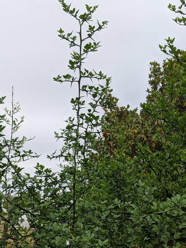 PXL_20210524_204706465