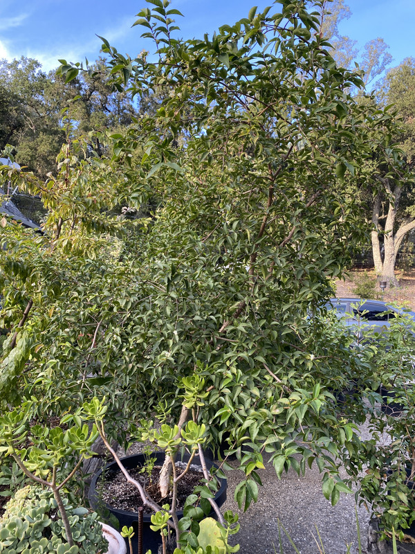 D29BEA91-E850-4F41-B1B8-8B080AD22627